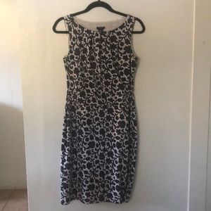 Ann Taylor Dress